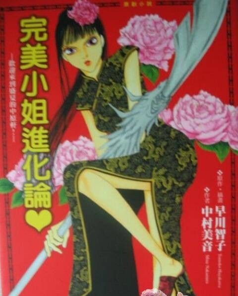 完美小姐进化论（中村美音创作的轻小说）