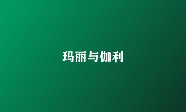 玛丽与伽利