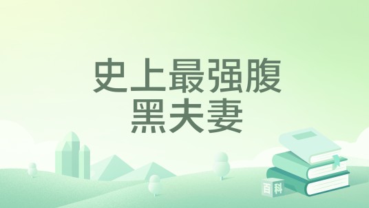 史上最强腹黑夫妻（妖兵著网络小说）