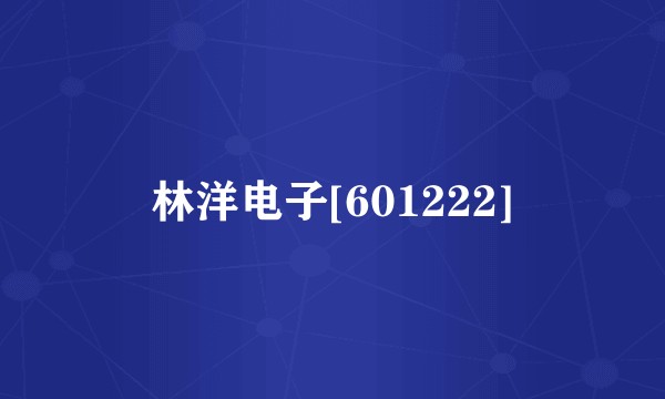 林洋电子[601222]