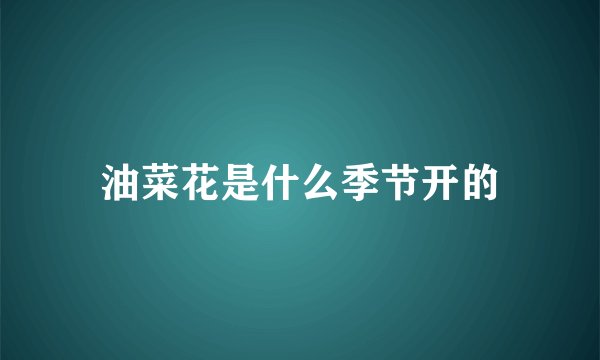 油菜花是什么季节开的