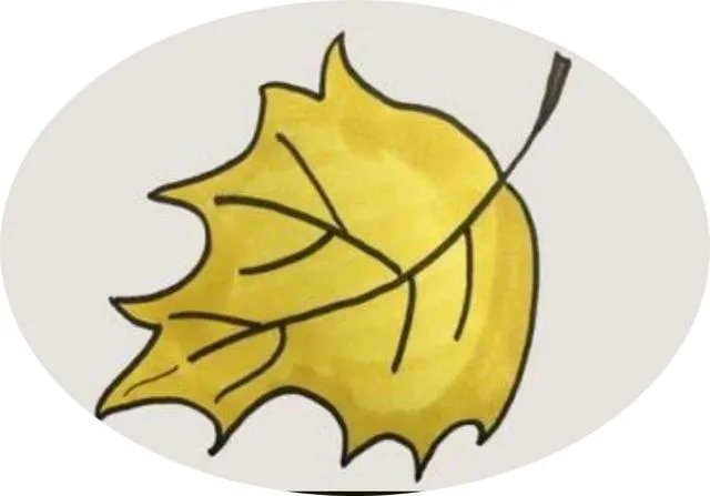 树叶的简笔画法？