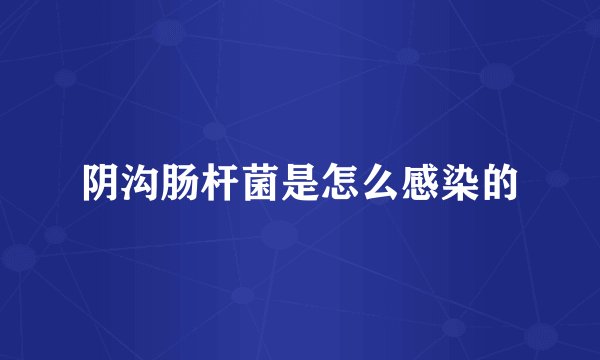 阴沟肠杆菌是怎么感染的