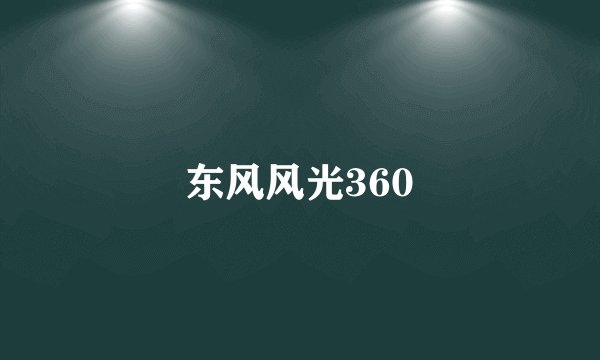 东风风光360