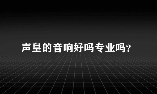 声皇的音响好吗专业吗？