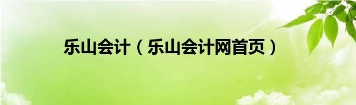 乐山会计（乐山会计网首页）