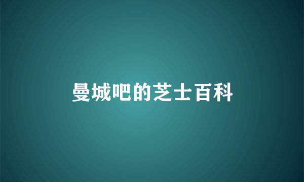 曼城吧的芝士百科