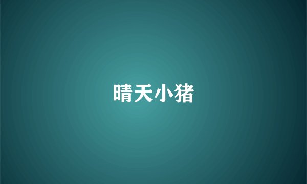 晴天小猪
