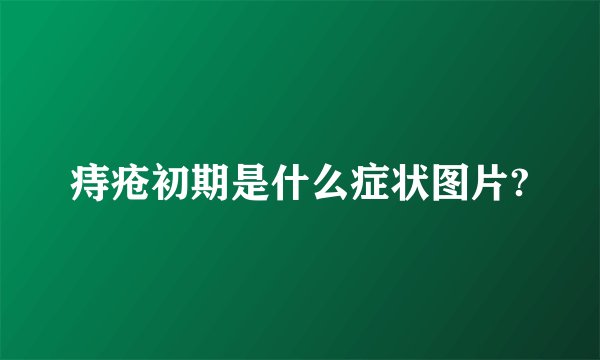 痔疮初期是什么症状图片?