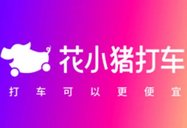 花小猪到底是什么“来头”?