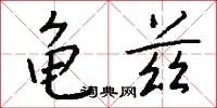 龟兹