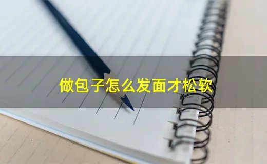 做包子怎么发面才松软