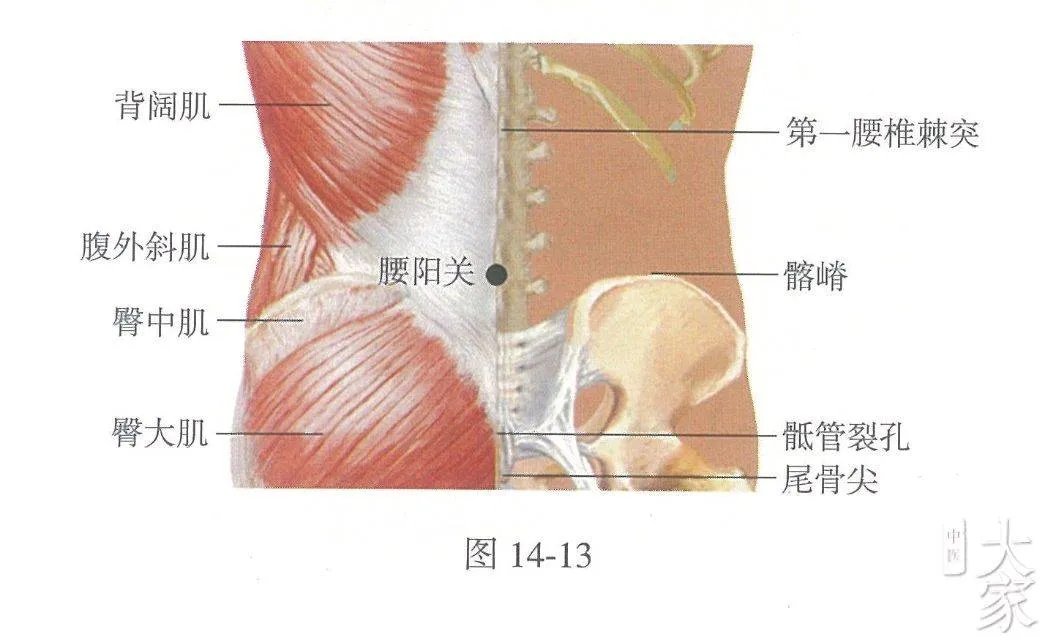 腰阳关