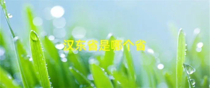 汉东省是哪个省