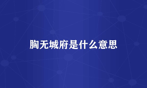 胸无城府是什么意思