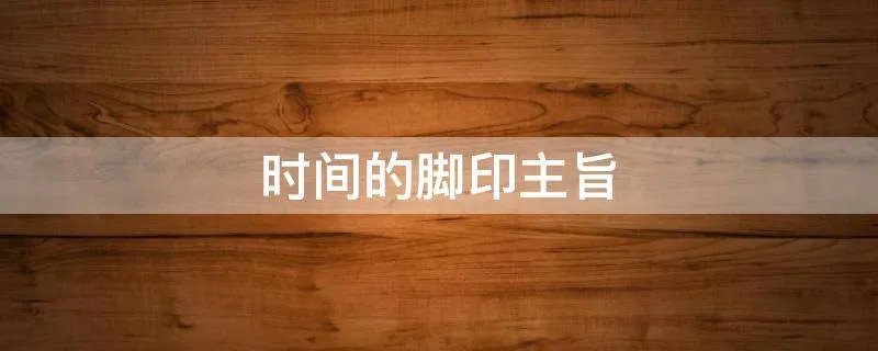 时间的脚印主旨
