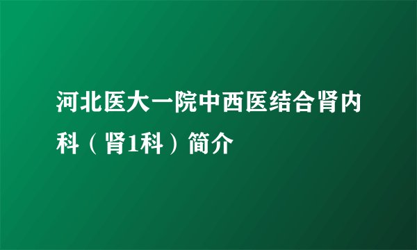 河北医大一院中西医结合肾内科（肾1科）简介