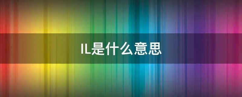 IL是什么意思