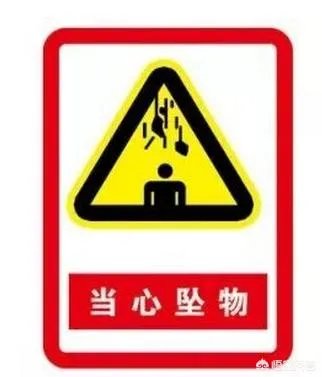 广州一女子被高空掉落的狗砸成重伤你怎么看？