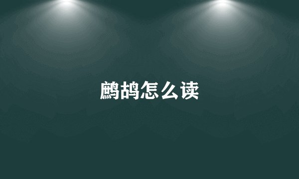 鹧鸪怎么读