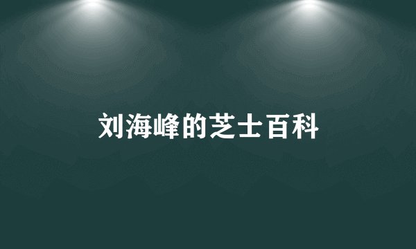 刘海峰的芝士百科