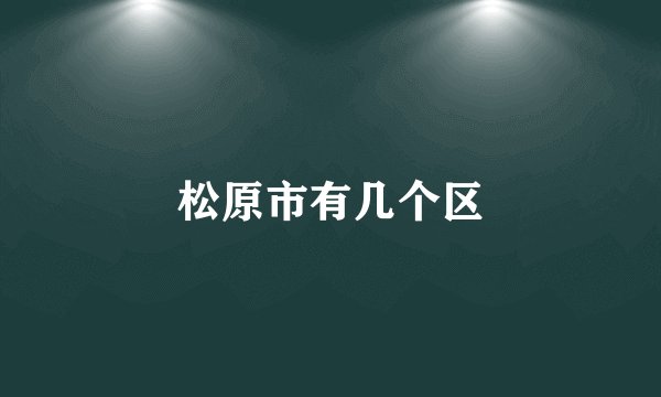 松原市有几个区