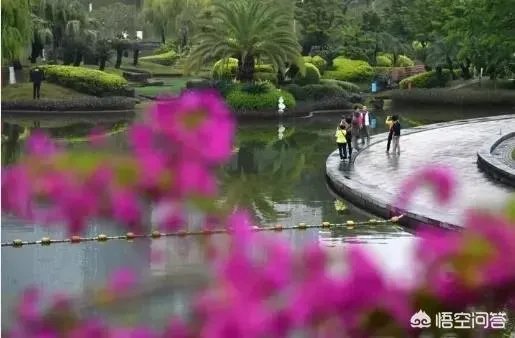 千灯湖在佛山本地人眼中是一种怎么样的存在？
