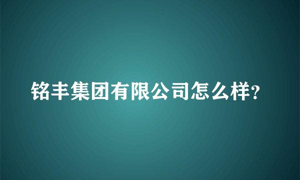 铭丰集团有限公司怎么样?