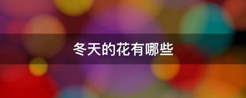 冬天的花有哪些