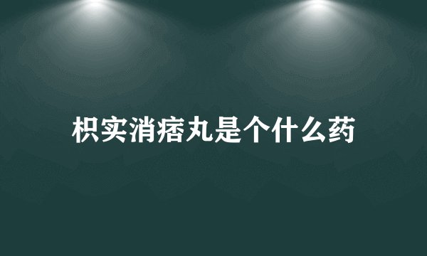 枳实消痞丸是个什么药
