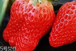 士多啤梨是什么水果?士多啤梨的功效
