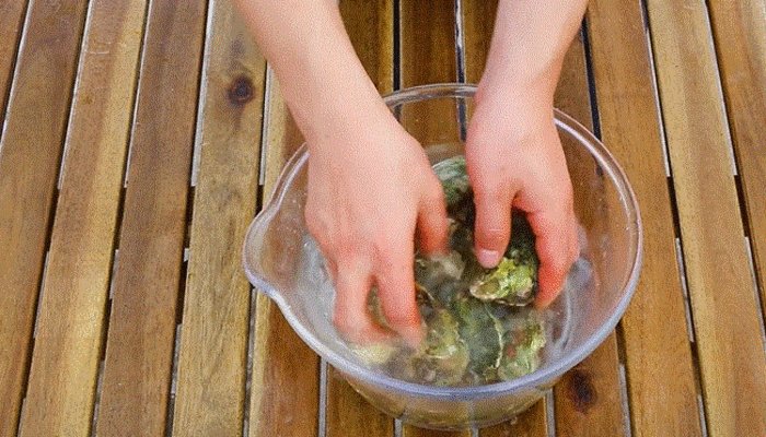 生蚝怎么清洗内脏图解