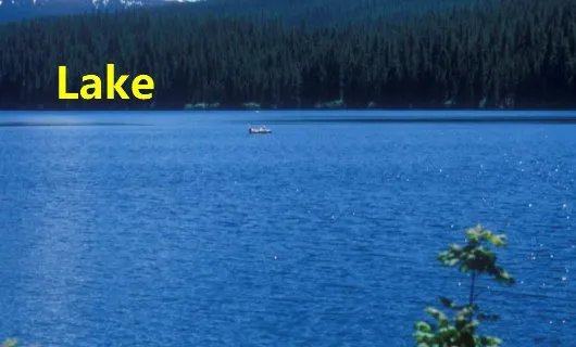 lake是什么意思