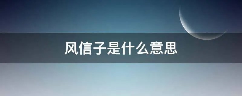 风信子是什么意思