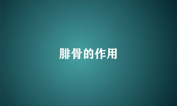 腓骨的作用