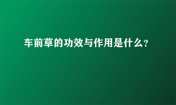车前草的功效与作用是什么？