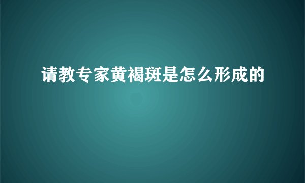 请教专家黄褐斑是怎么形成的