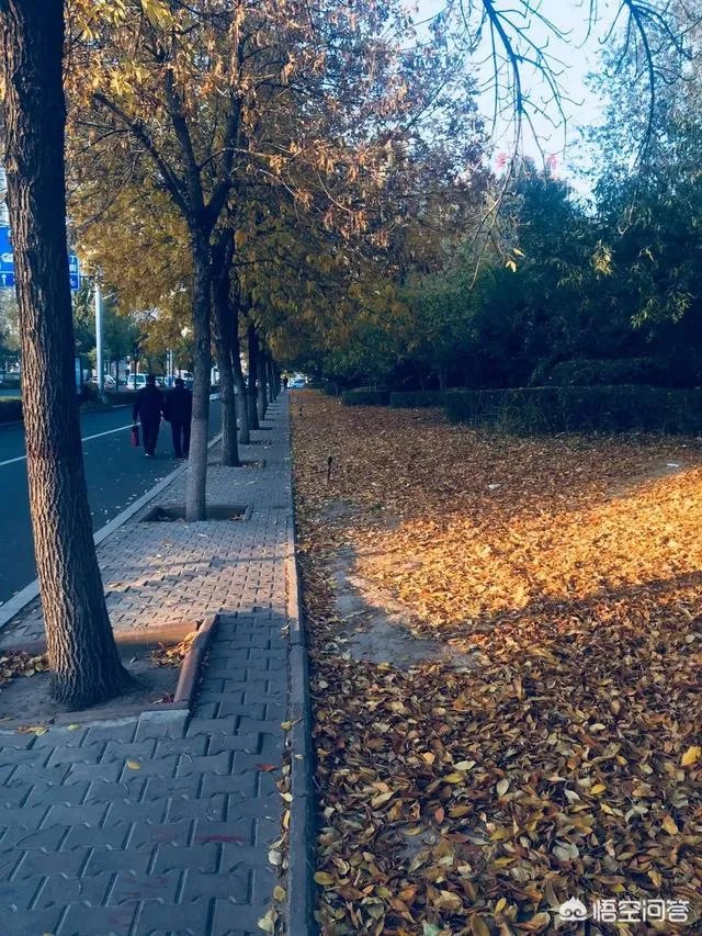 包头这个城市美不美?
