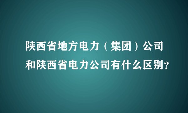 陕西省地方电力（集团）公司和陕西省电力公司有什么区别？