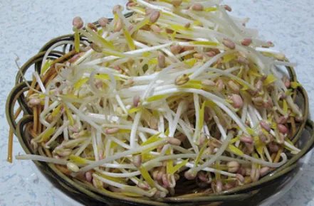 绿豆芽怎么炒好吃?