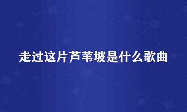 走过这片芦苇坡是什么歌曲