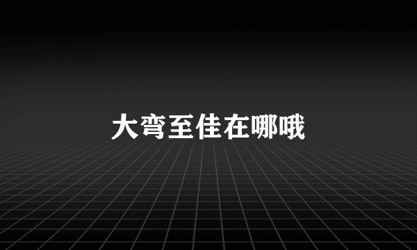 大弯至佳在哪哦