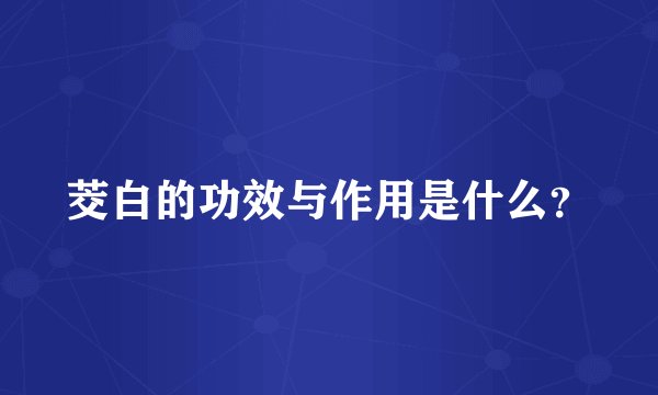 茭白的功效与作用是什么？