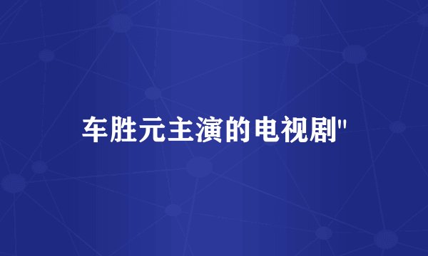 车胜元主演的电视剧