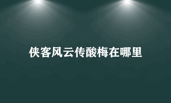 侠客风云传酸梅在哪里