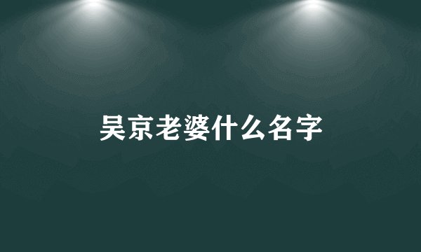 吴京老婆什么名字