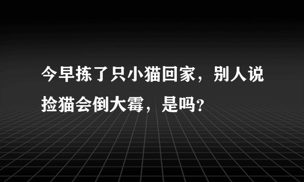 今早拣了只小猫回家，别人说捡猫会倒大霉，是吗？