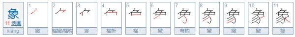 大象的象的笔顺是什么