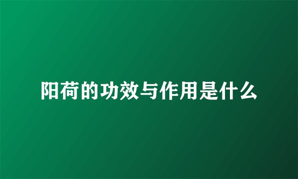 阳荷的功效与作用是什么