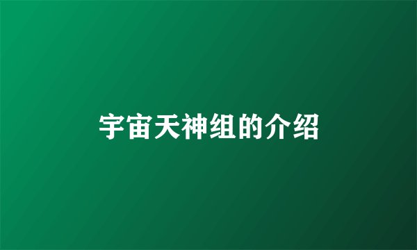 宇宙天神组的介绍
